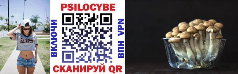 kraken ТОР Выборг Псилоцибиновые грибы Magic Shrooms дарнет шоп