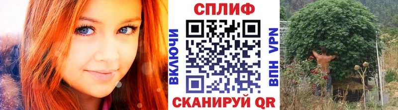 Бошки Шишки Amnesia  ссылка на мегу маркетплейс  Выборг 